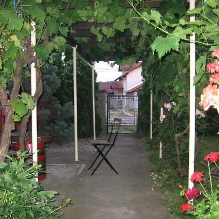 Kuca Za Odmor Jelena Apartment Kladovo Luaran gambar