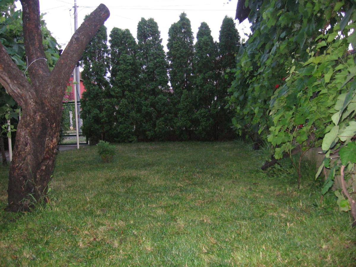 Kuca Za Odmor Jelena Apartment Kladovo Luaran gambar